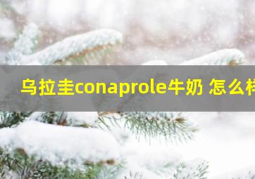 乌拉圭conaprole牛奶 怎么样